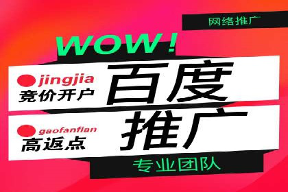 SEM代运营公司案例：实战经验分享